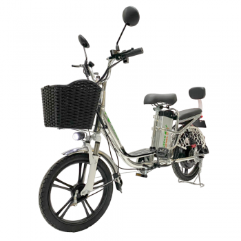 Электровелосипед GreenCamel Транк 18 V8 PRO (R18 250W 60v10Ah) алюм, DD, гидравл, 2х подвес