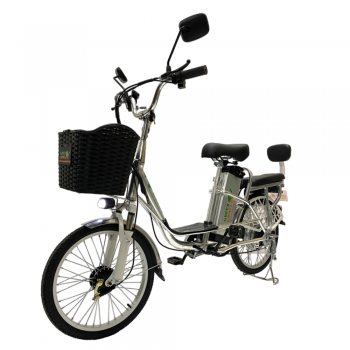Электровелосипед GreenCamel Транк 20 V8 (R20 250W 60V20Ah) алюм, редуктор